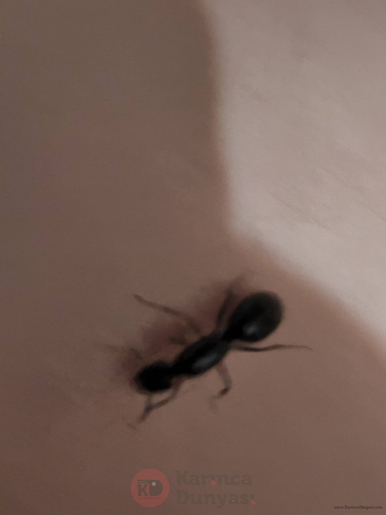 20220724_025423.jpg