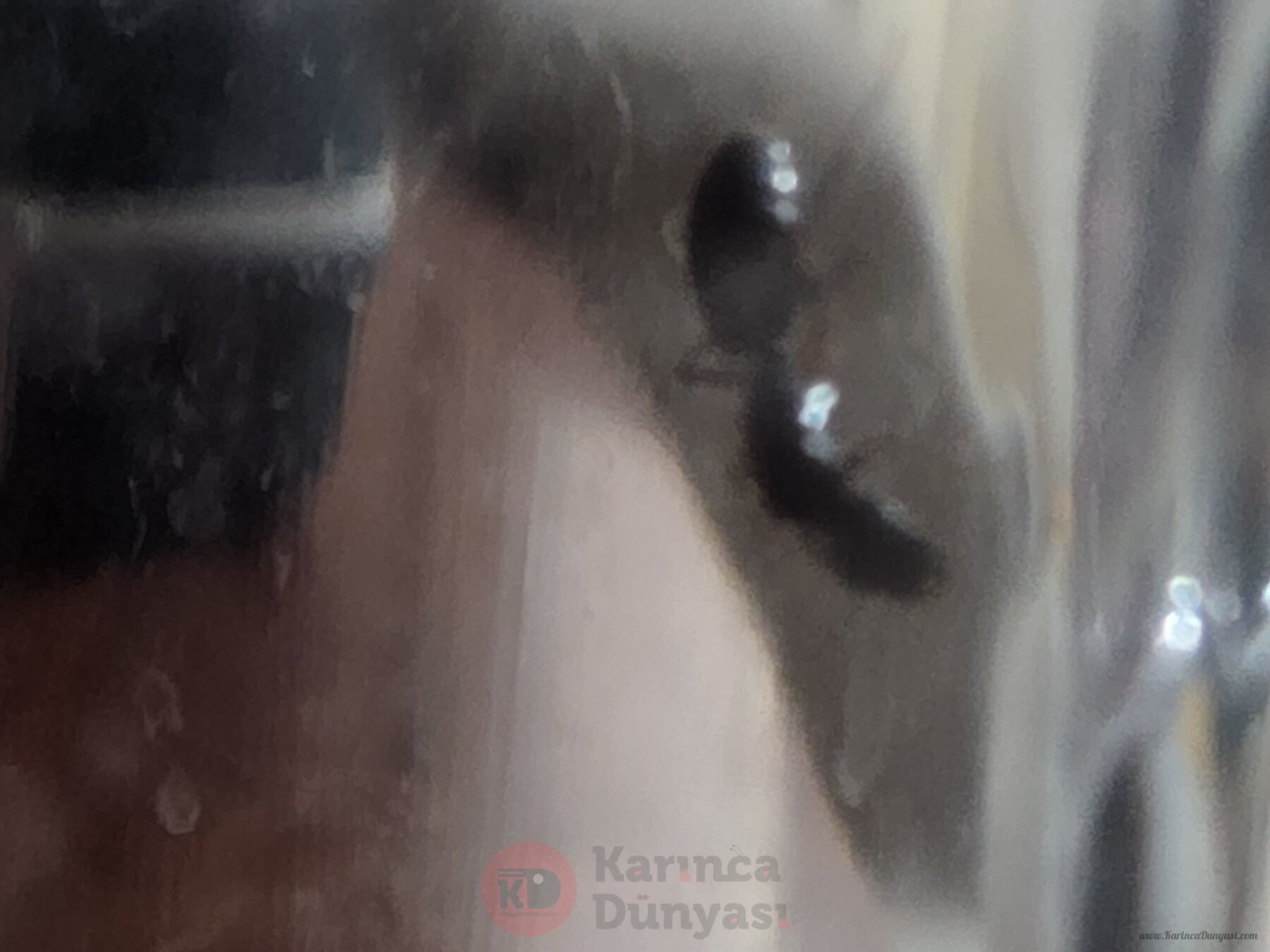 20220724_025657.jpg