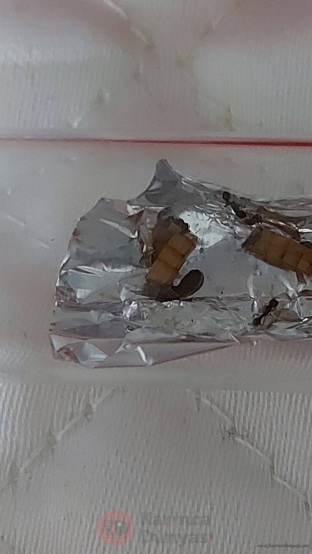 20220803_213733.jpg