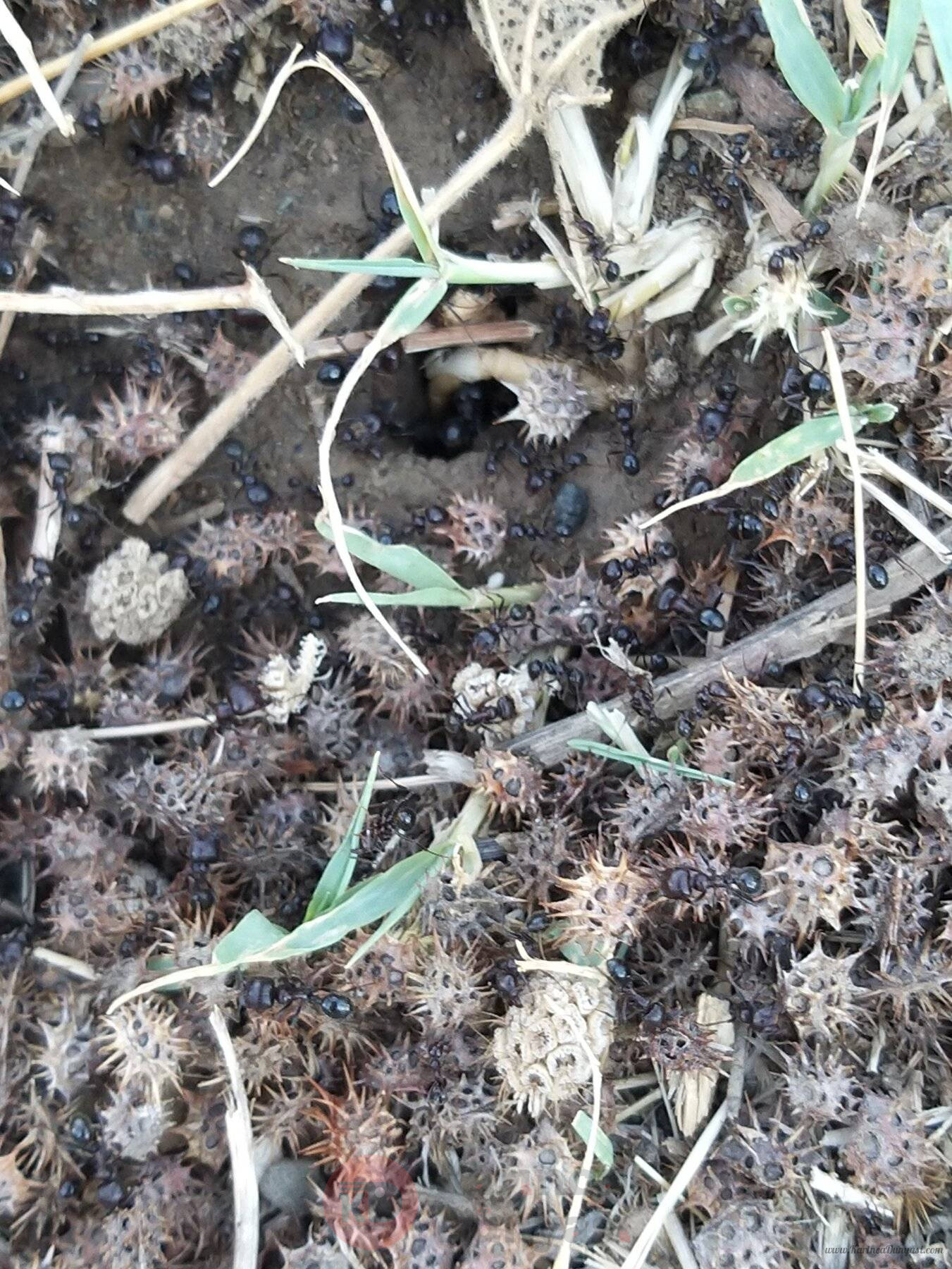 20220815_175259_copy_1699x2265.jpg