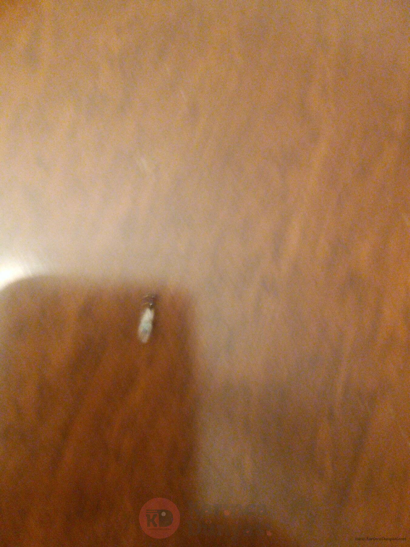 20220815_213410_copy_1699x2265_1.jpg