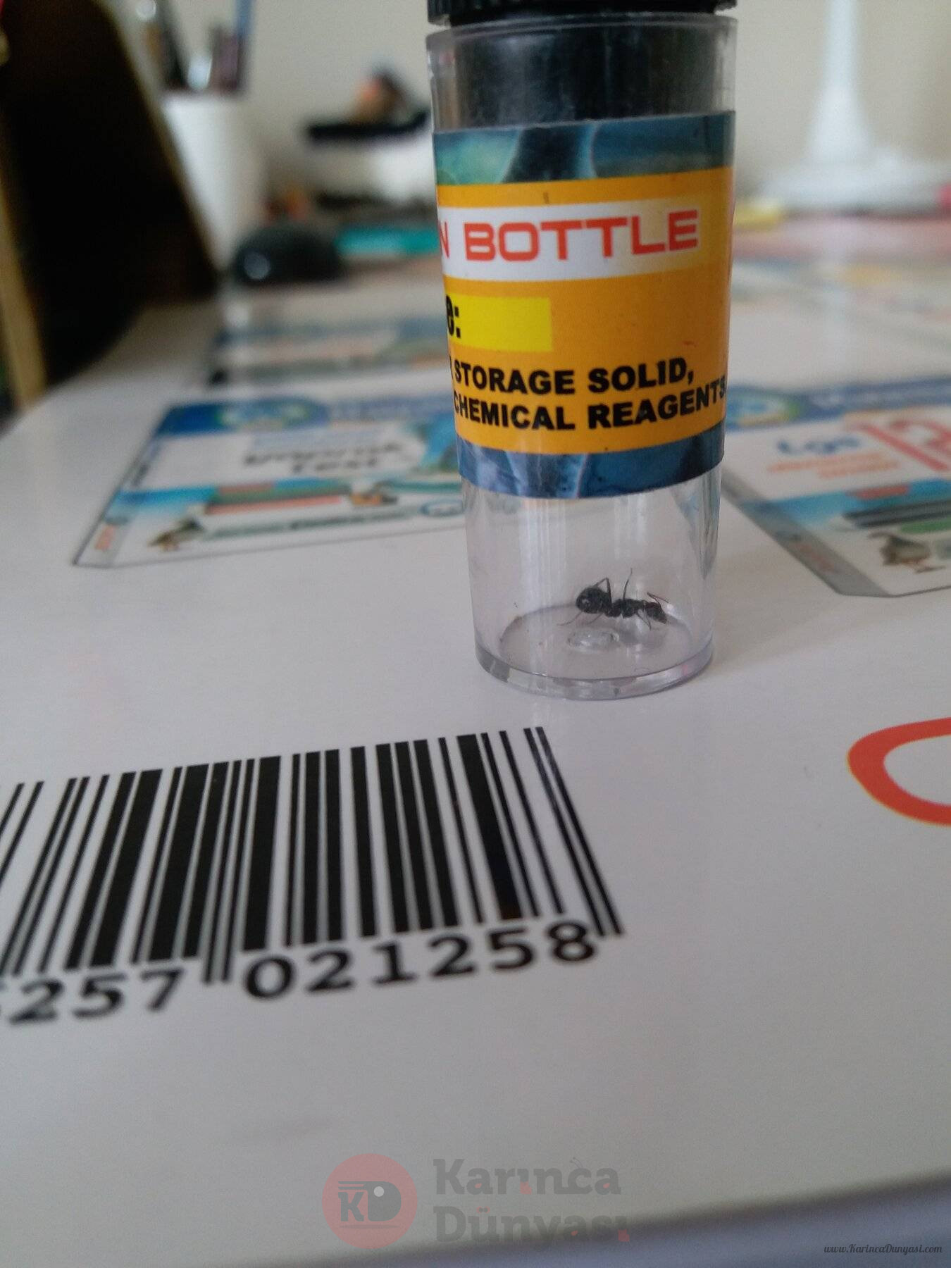 20220822_095200.jpg