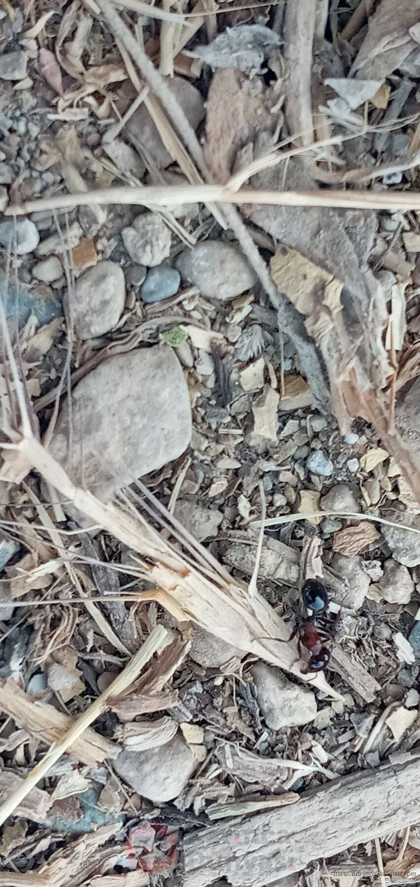 20220827_160840.jpg