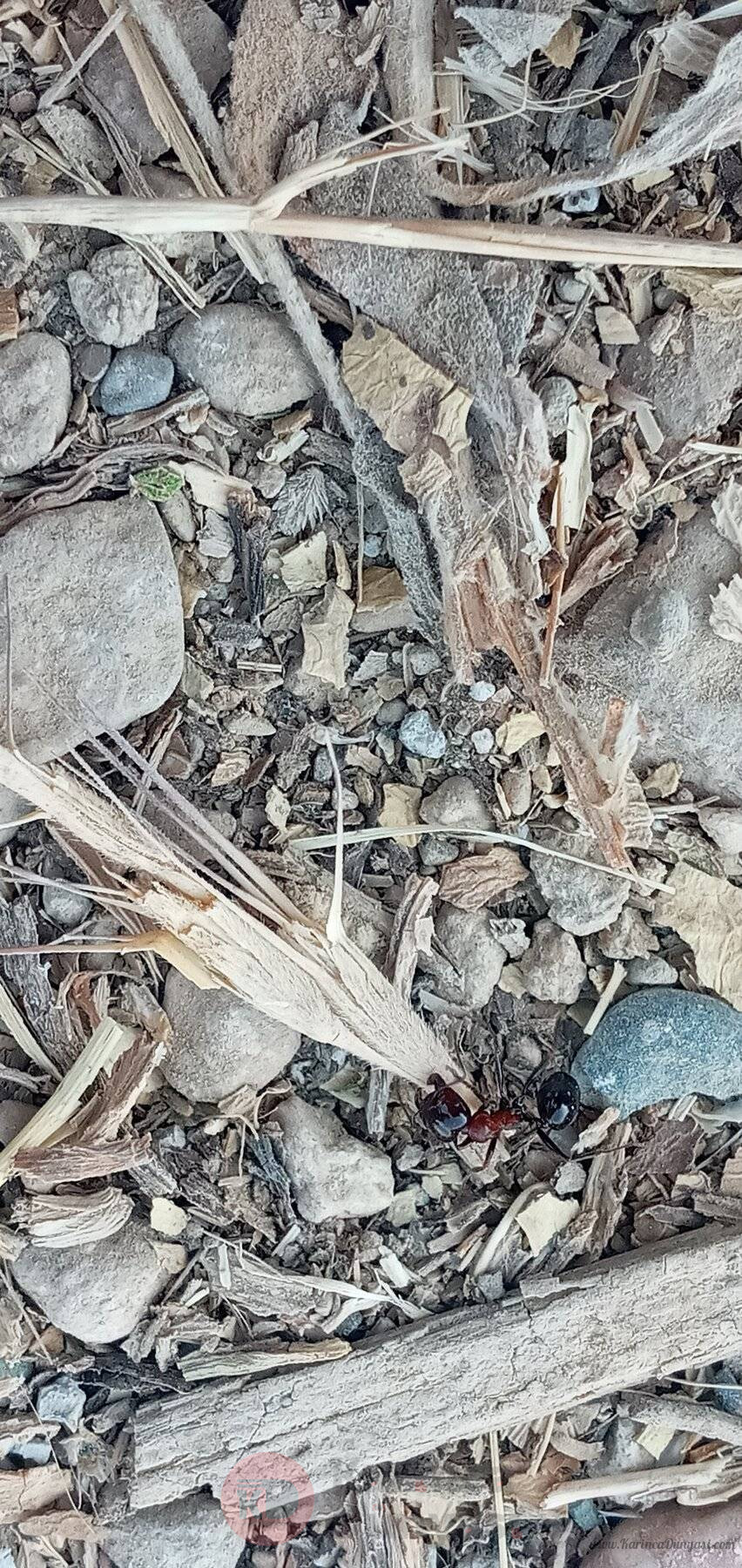 20220827_160844.jpg