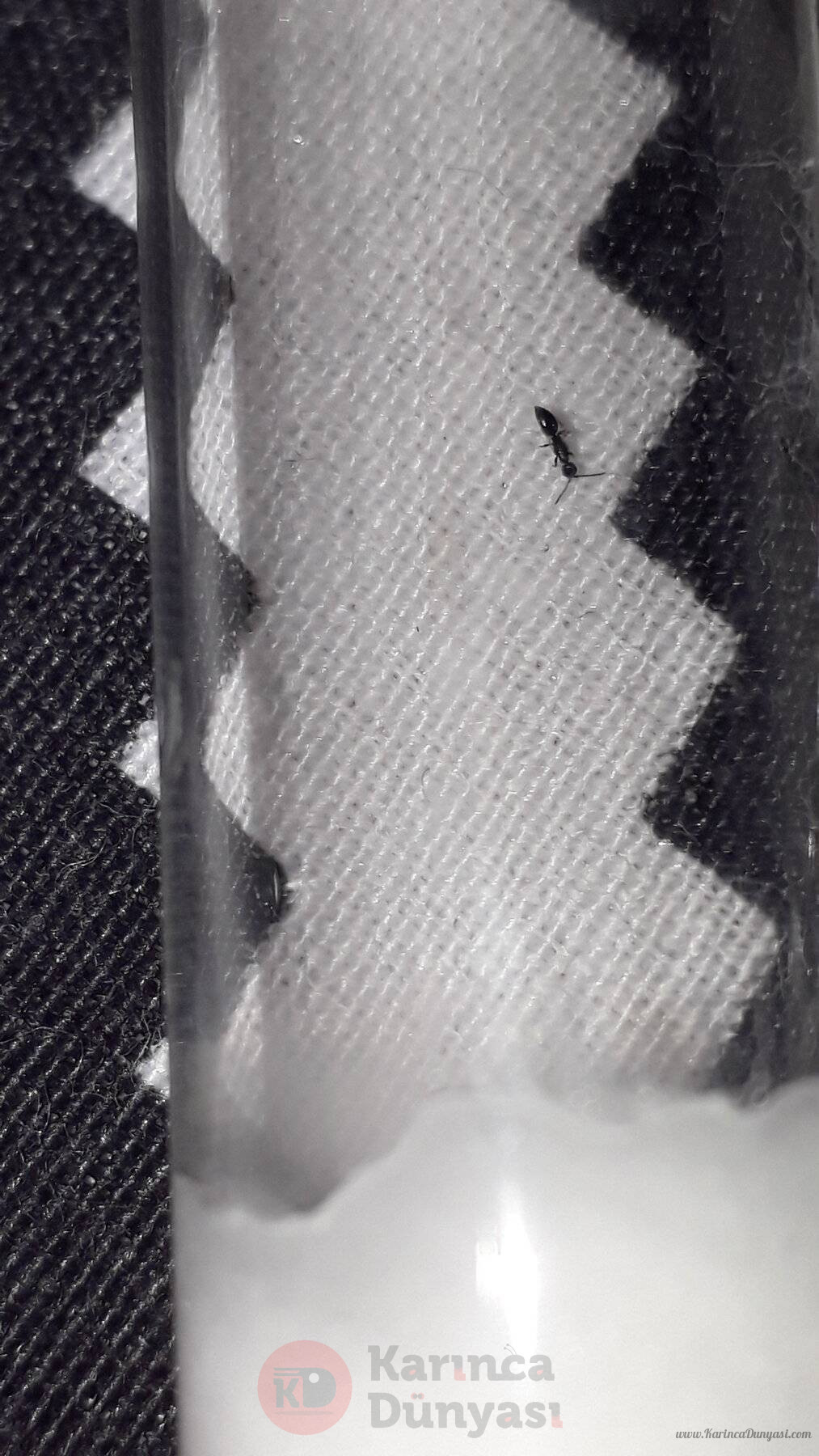 20221002_201043.jpg