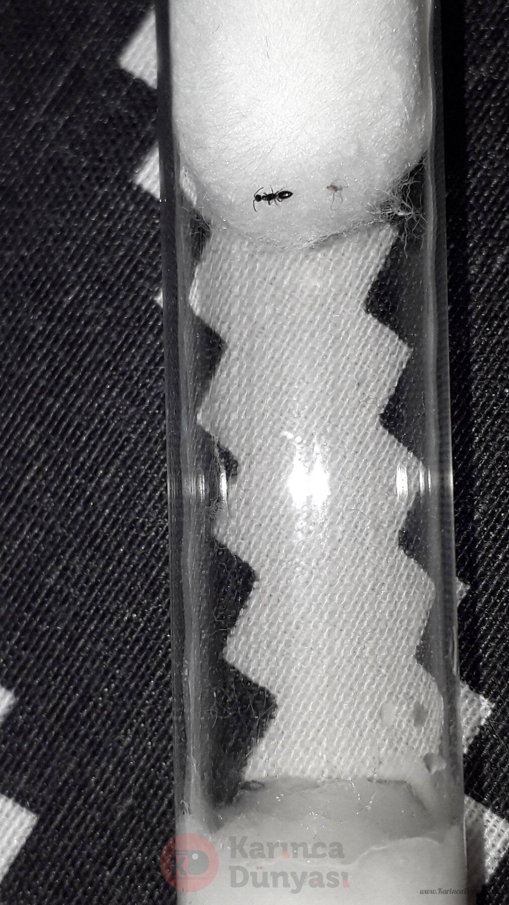 20221002_201244.jpg