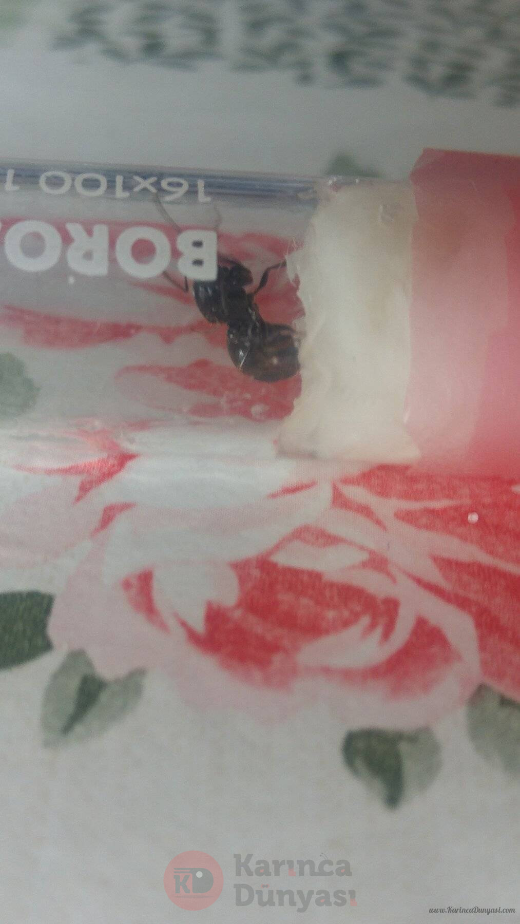 20221004_140148.jpg