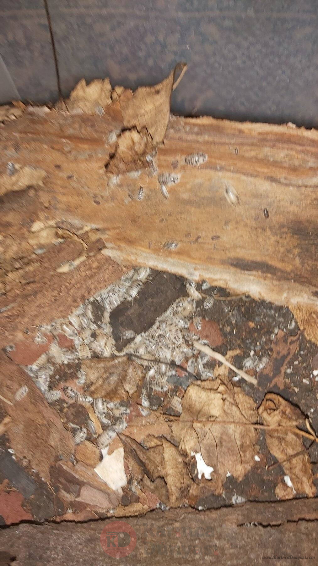 20221025_184557.jpg
