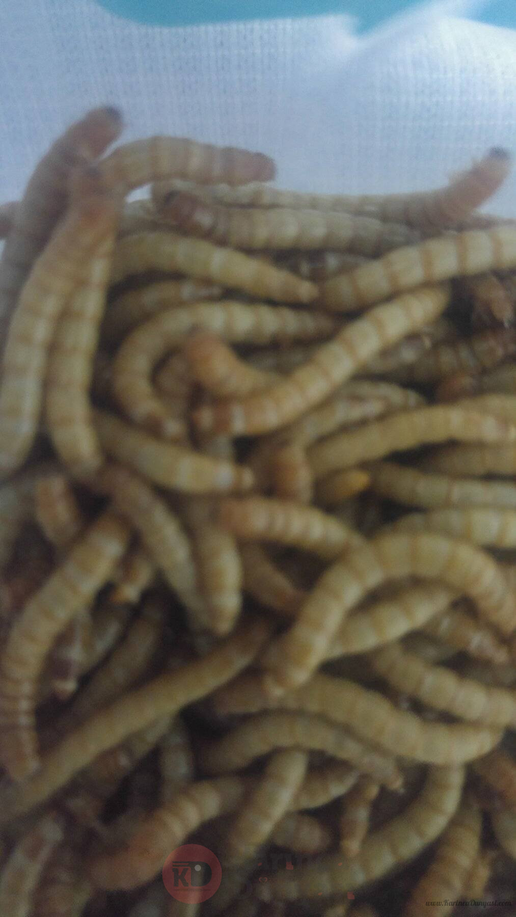 20230219_212644.jpg