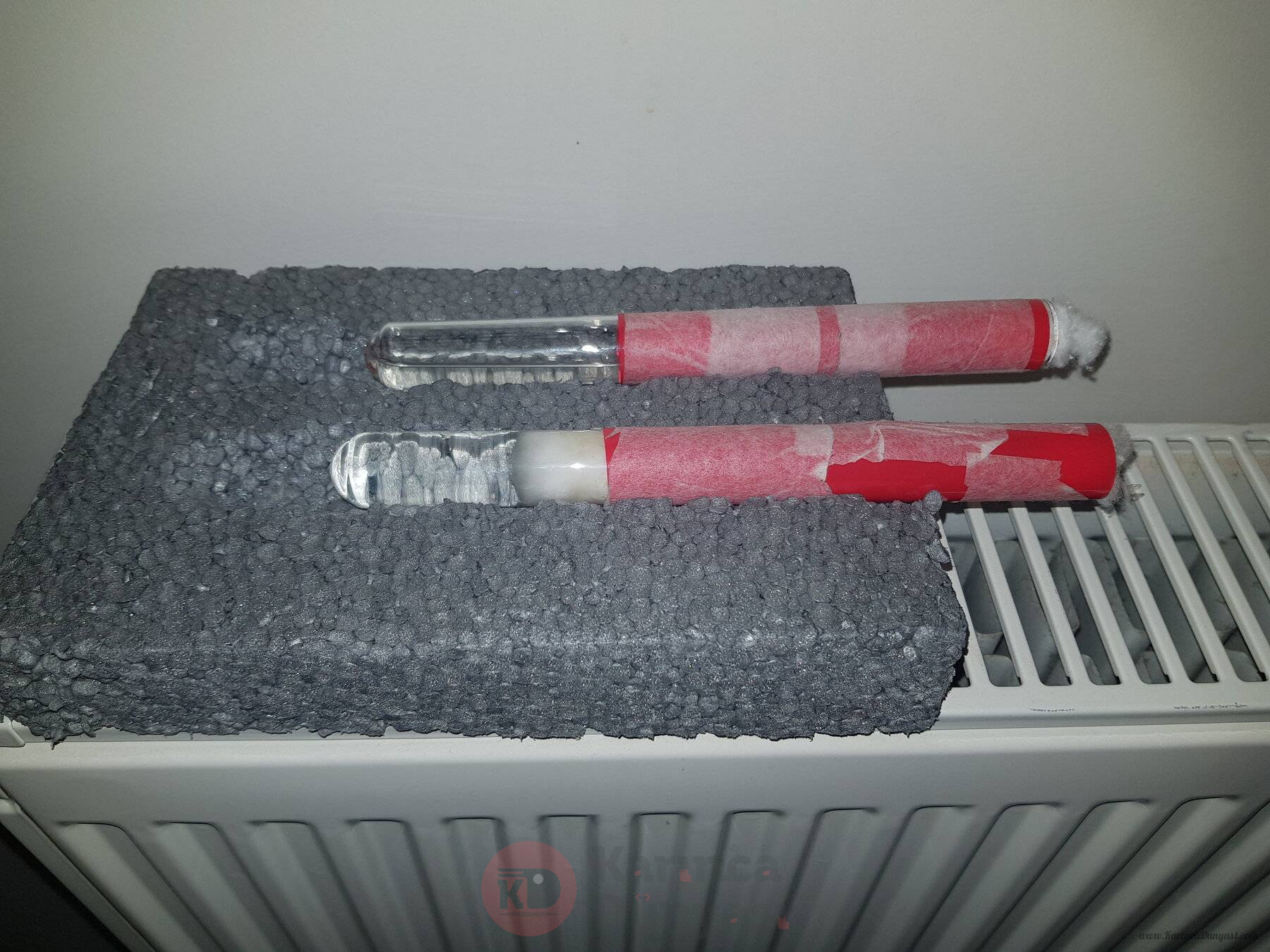 20230308_180931.jpg