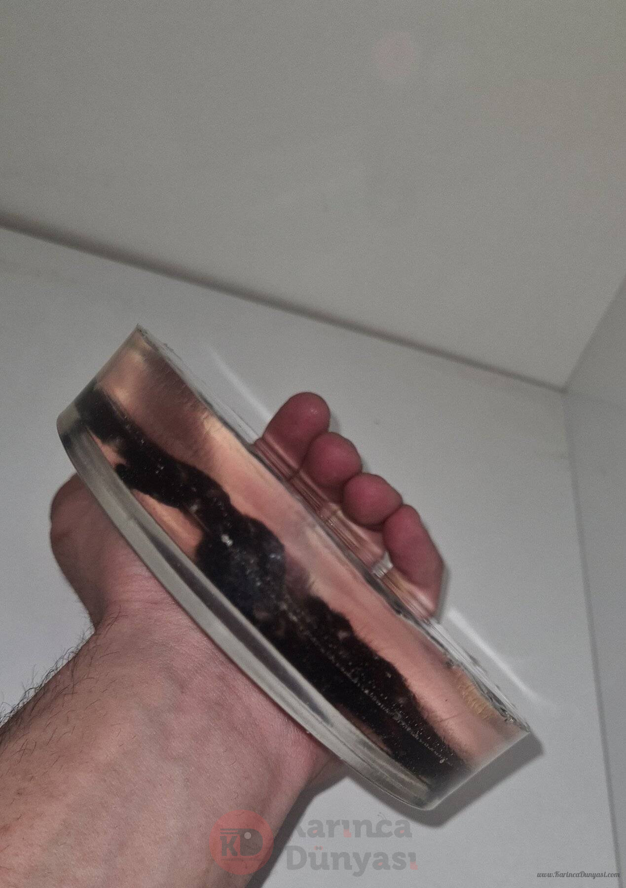 20230420_001653.jpg