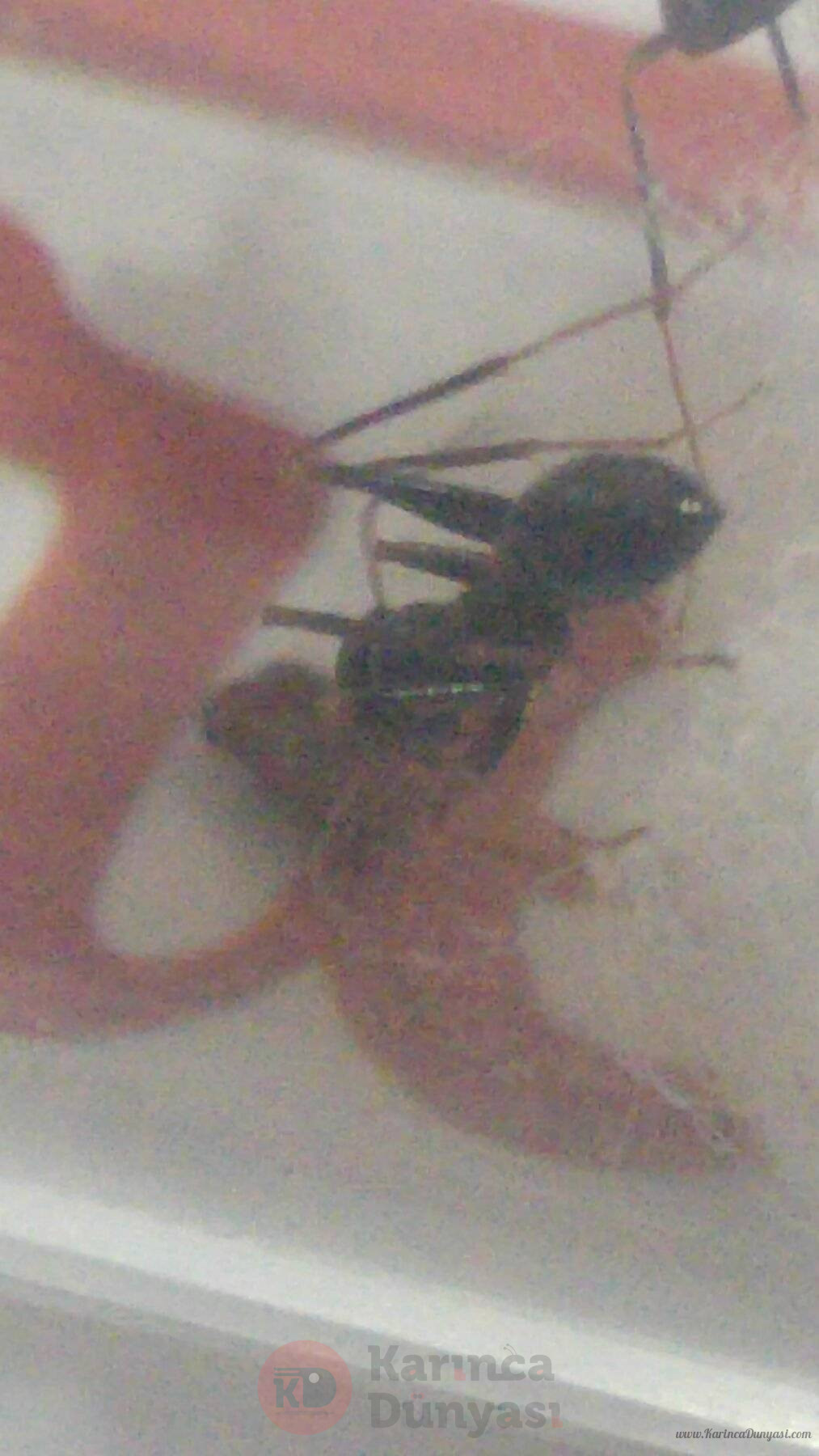 20230515_144753.jpg