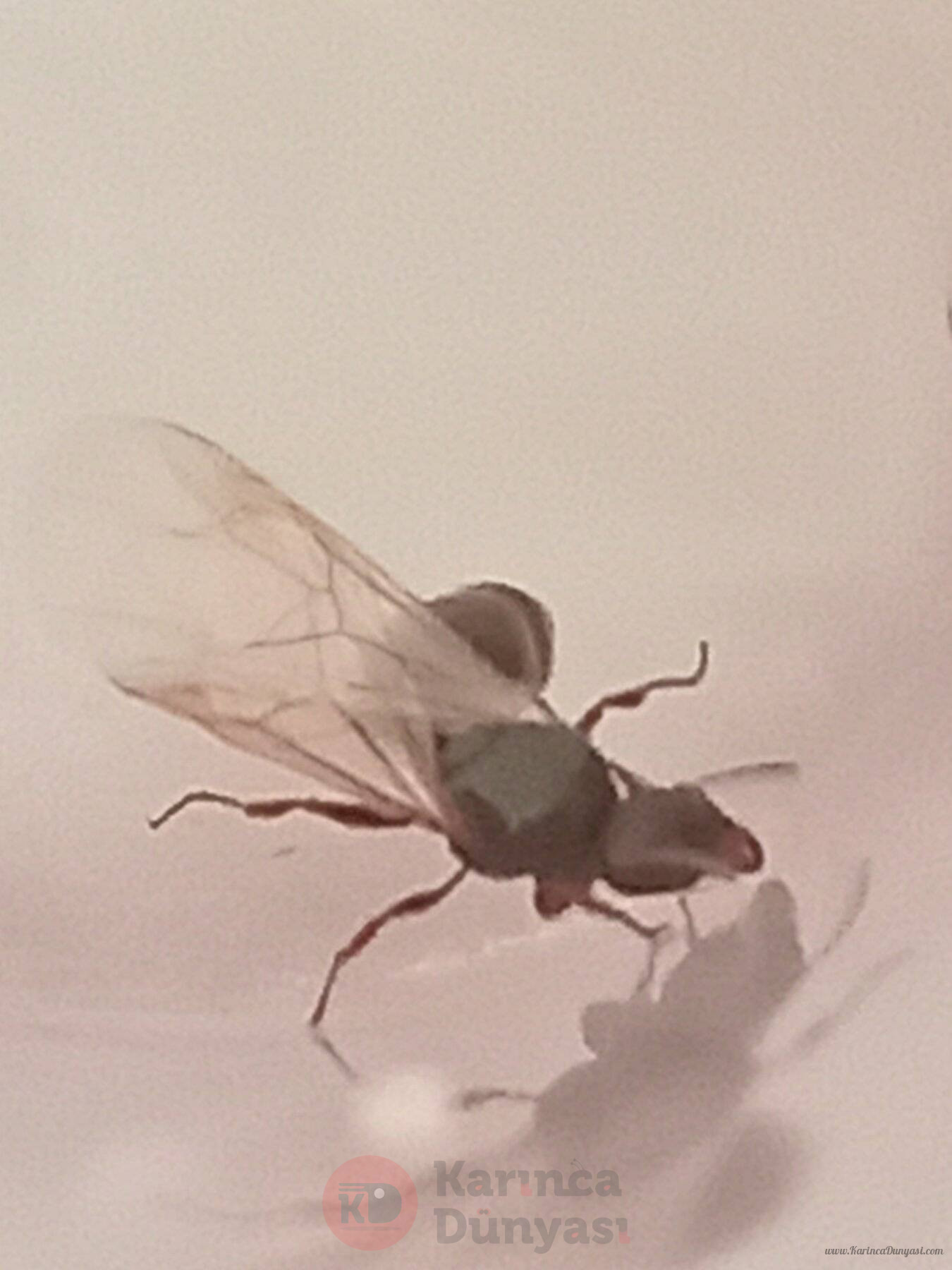 20230703_094059.jpg