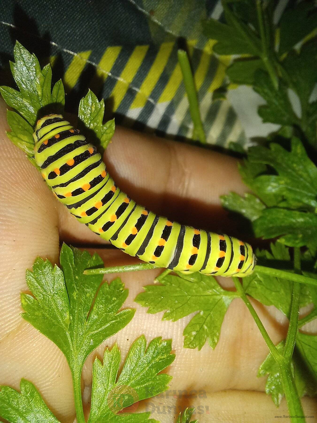 20230716_211026.jpg