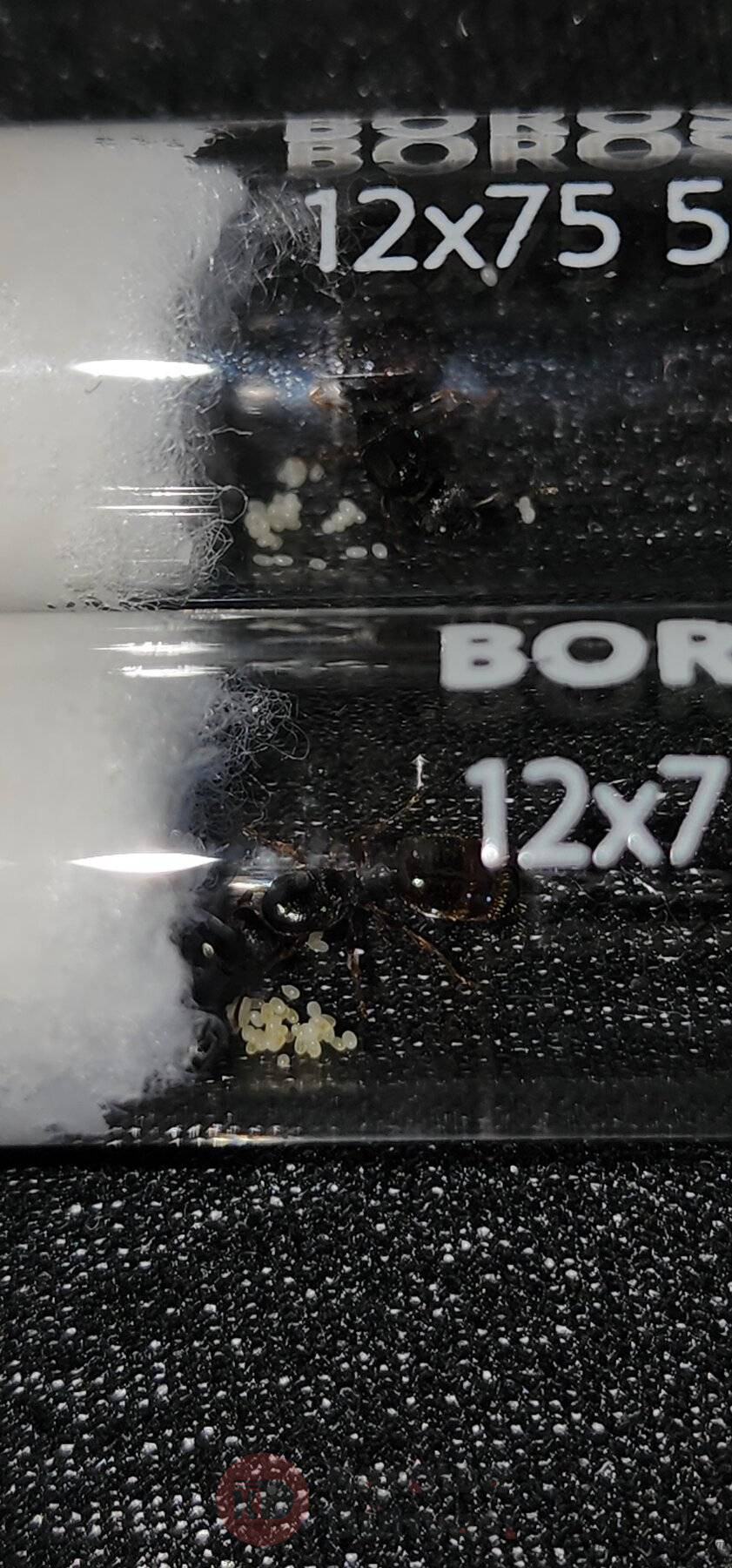 20230717_122933.jpg