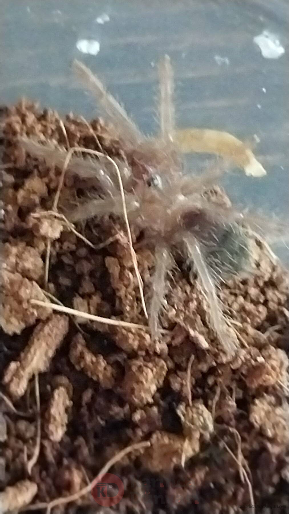 20230819_112504.jpg