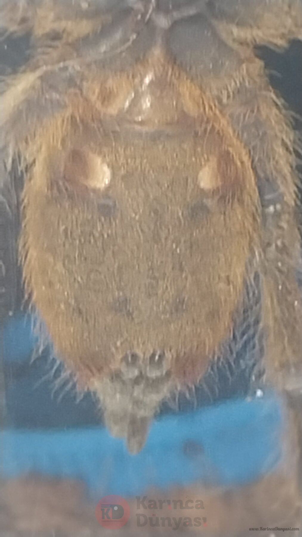 20230823_202335.jpg