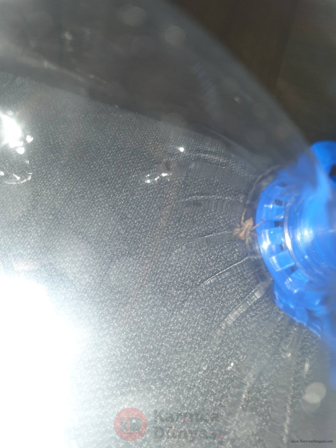 20230903_012057.jpg