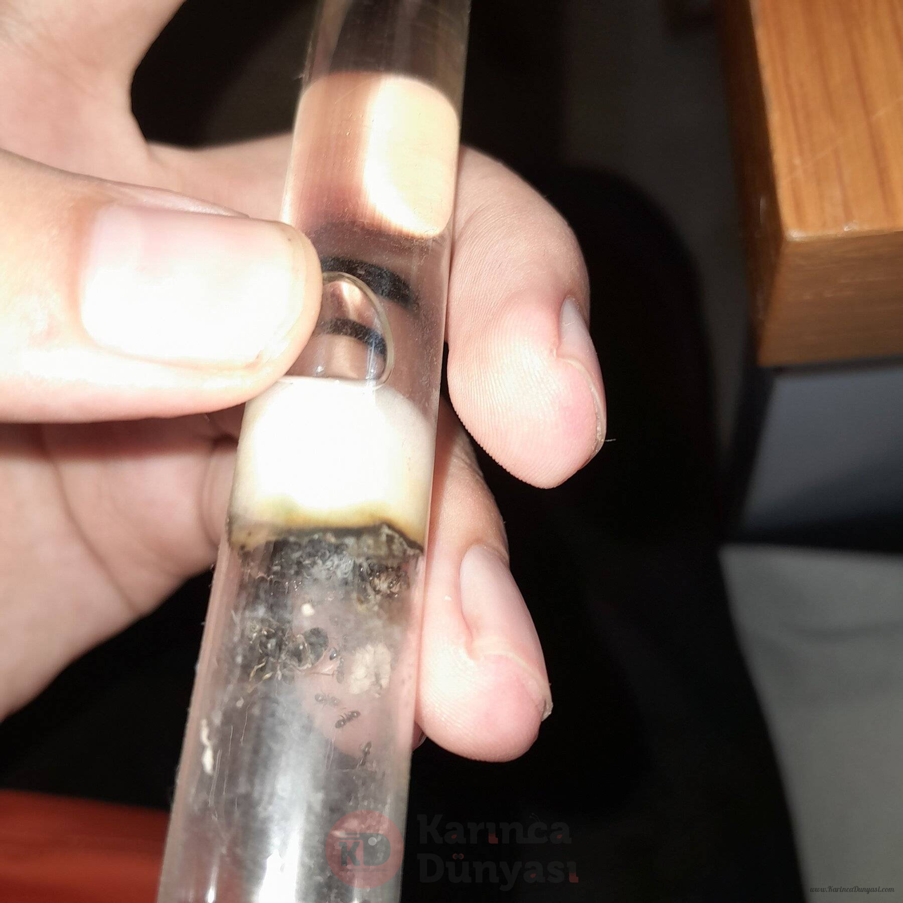 20240730_020959.jpg