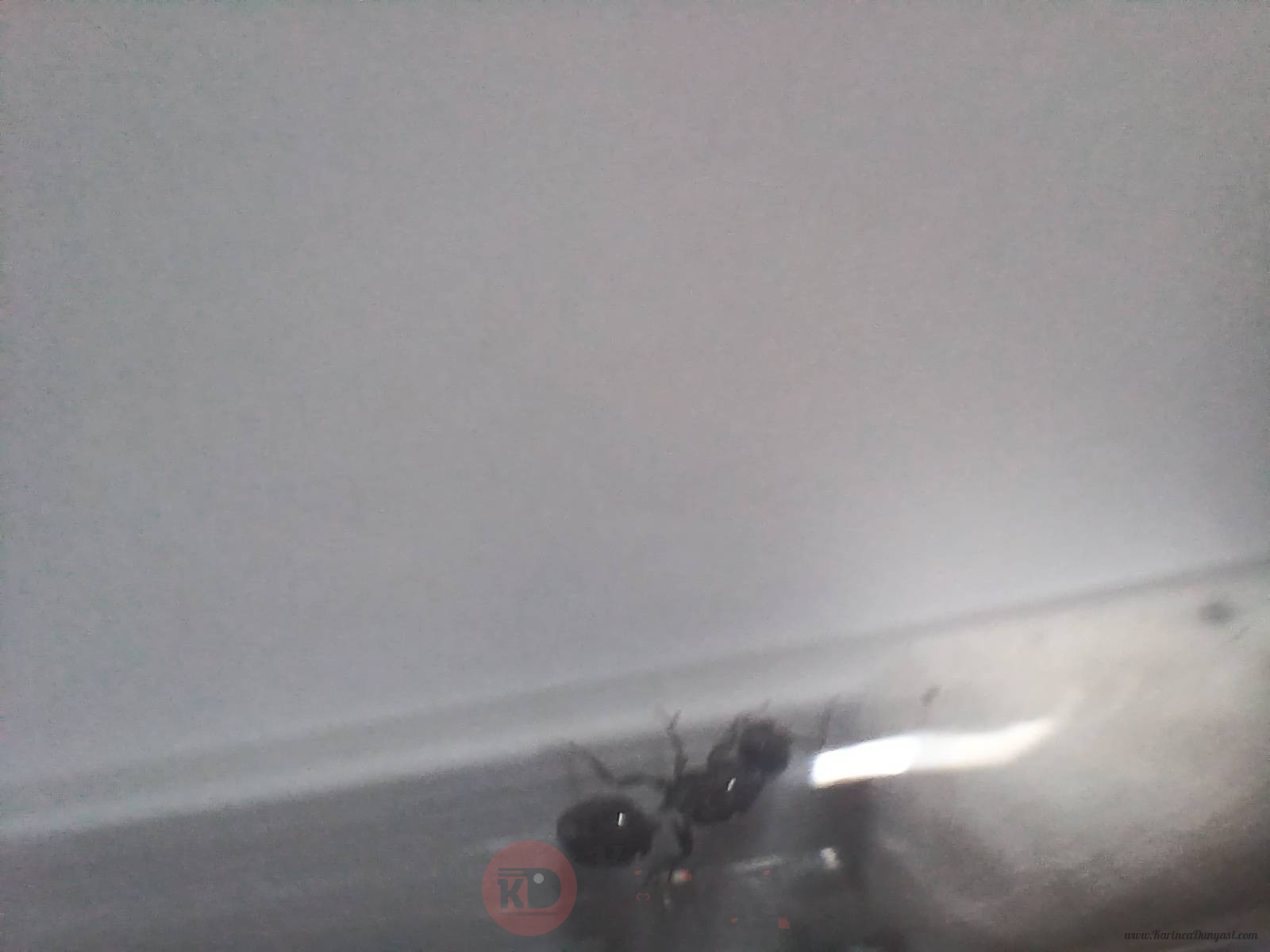 20250420_151826.jpg