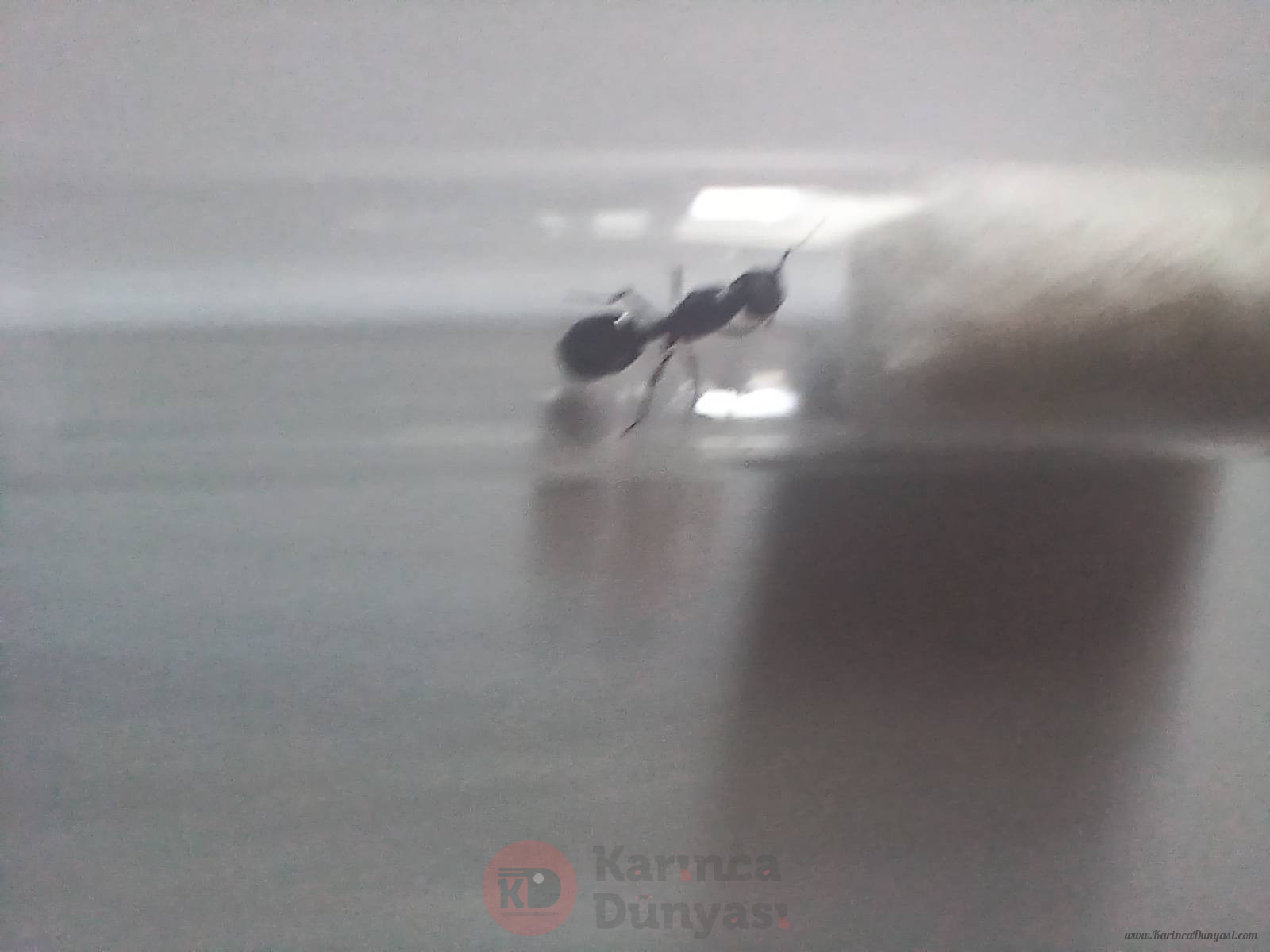 20250420_151830.jpg