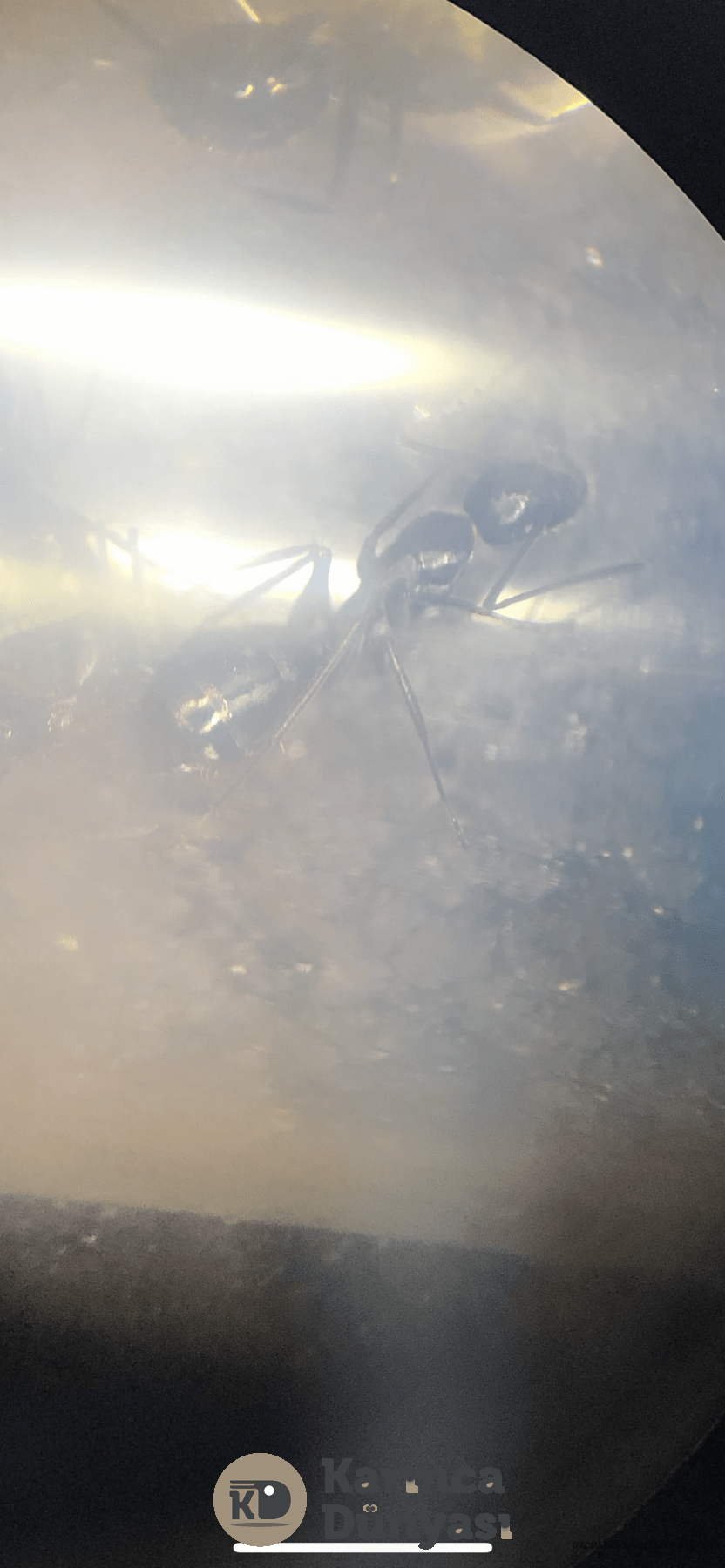 3EB25CD6-C705-43C9-8FA1-A688EADB2DC2.png
