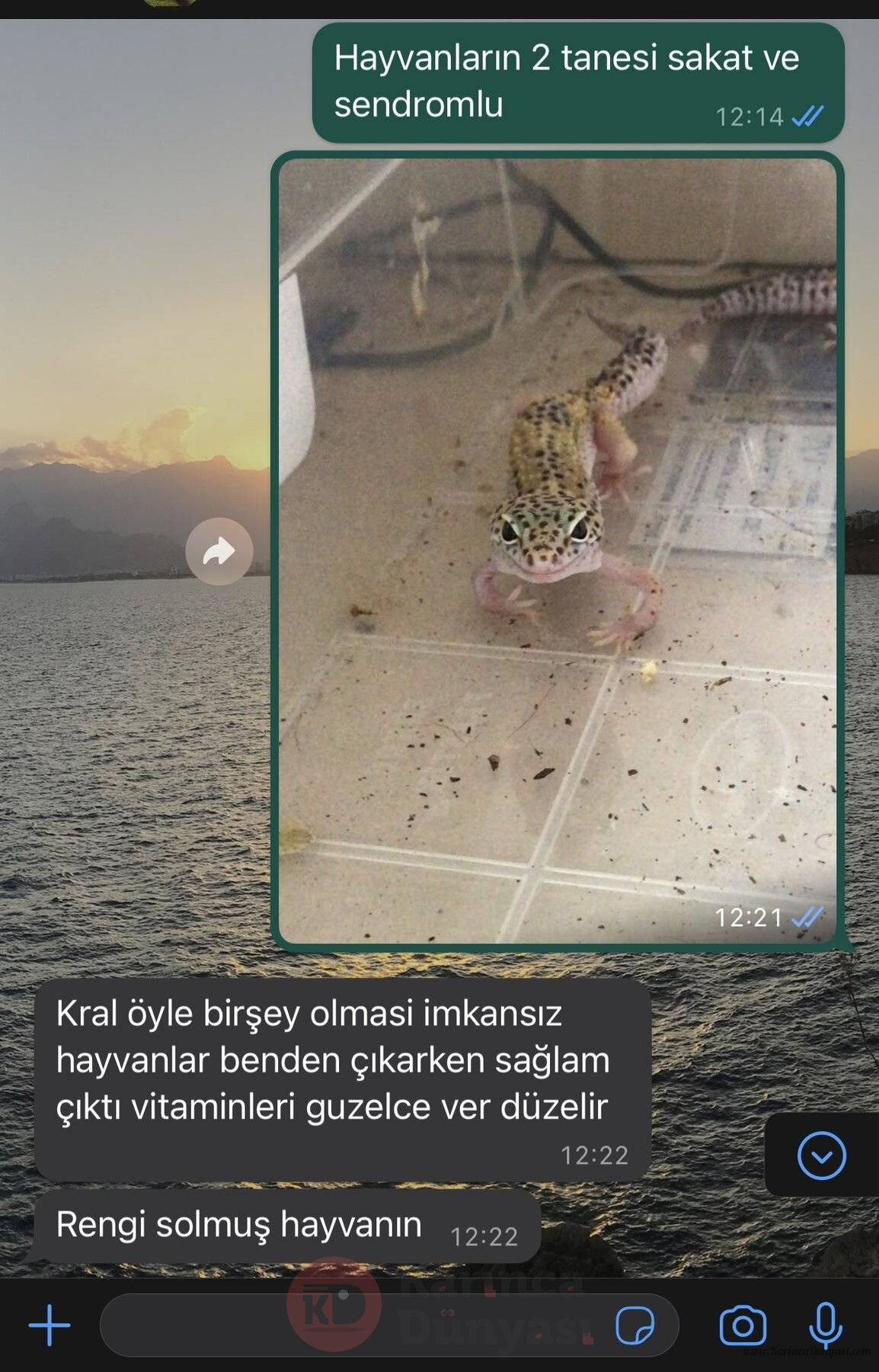 645067D6-E3B0-4121-822E-42394F328E1A.jpeg