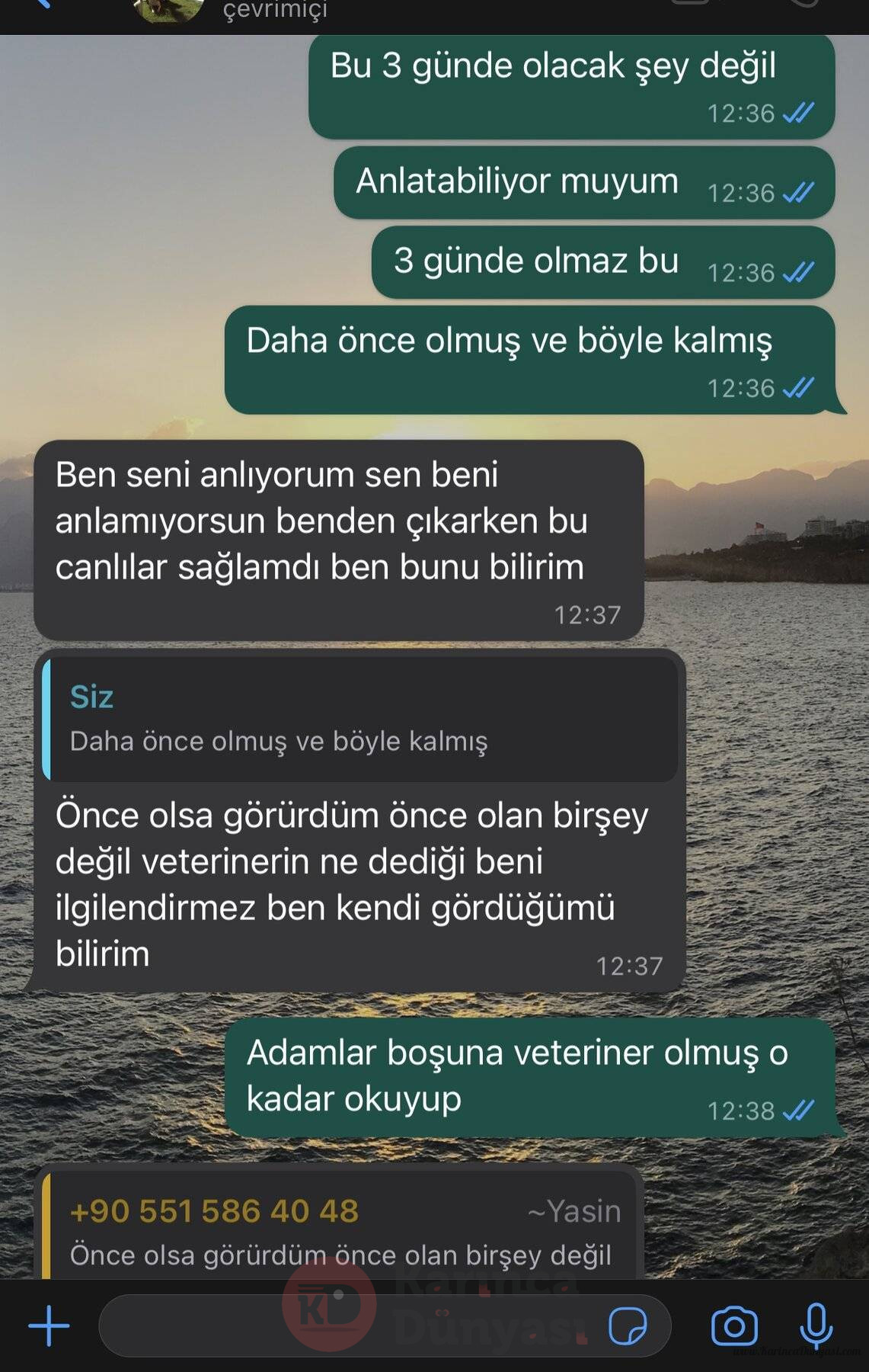 8144DC4B-BFBB-4EE6-B3D4-823C39F8B0CF.jpeg