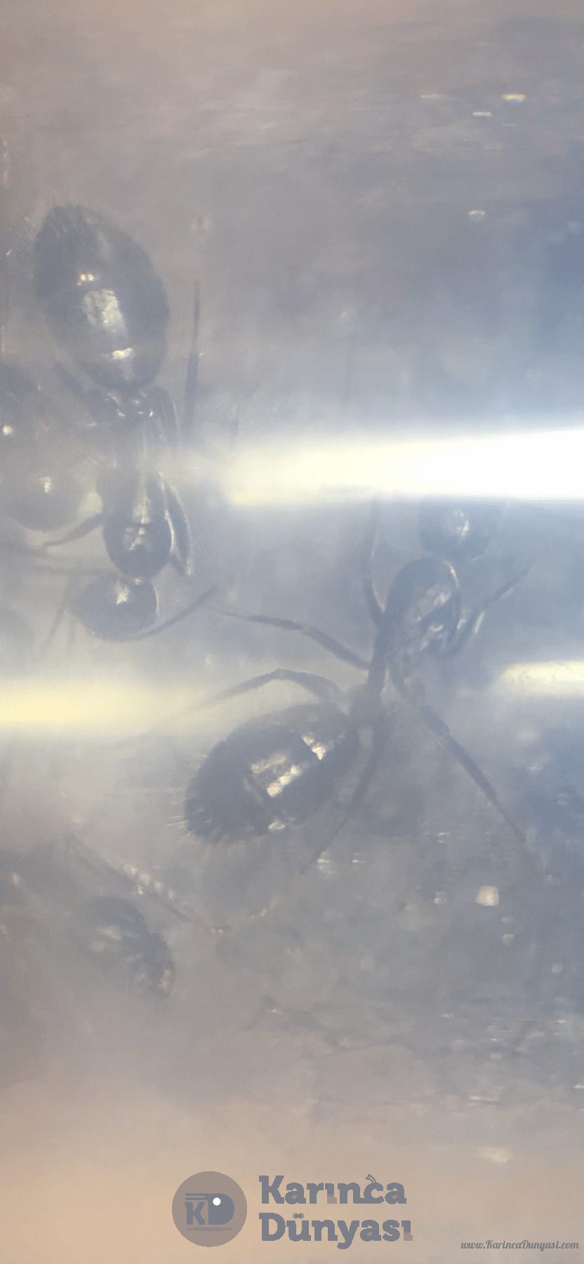C16F4886-8B57-4991-B47A-0AB87484D554.png