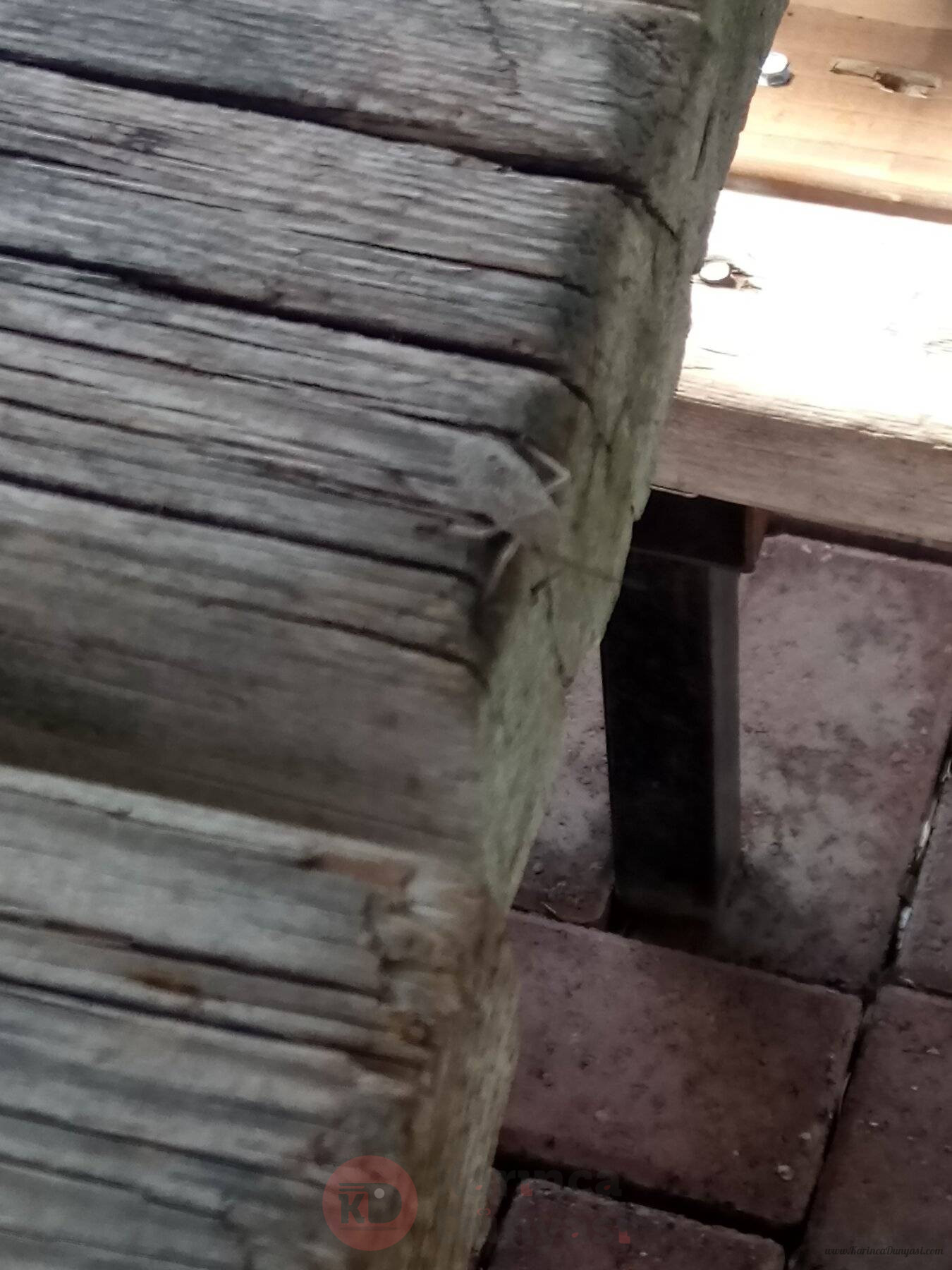 DSC_0030.JPG