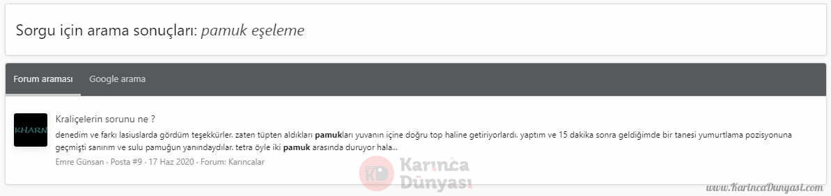 es3.JPG