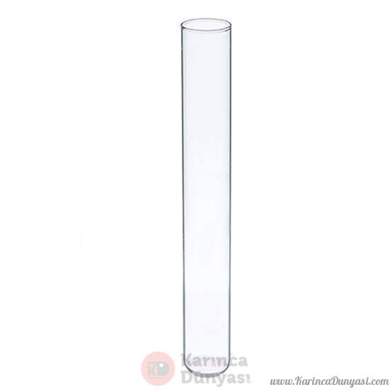 images (11).jpeg