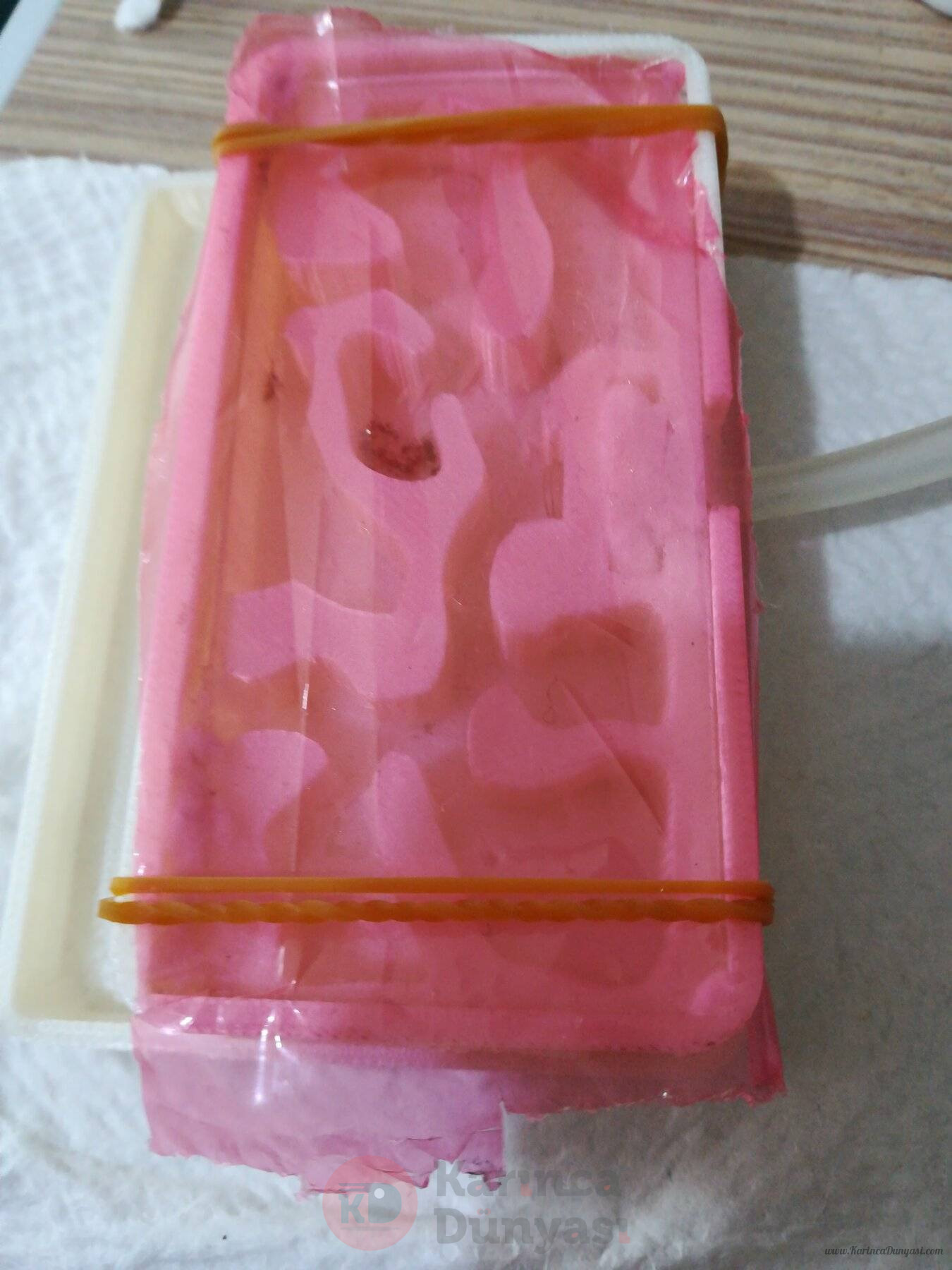 IMG-20221117-WA0023.jpeg