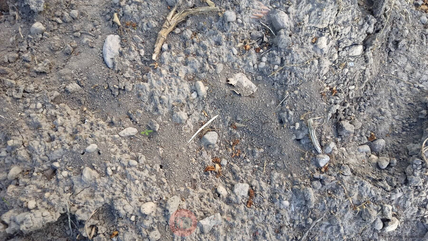 IMG20220520180210.jpg