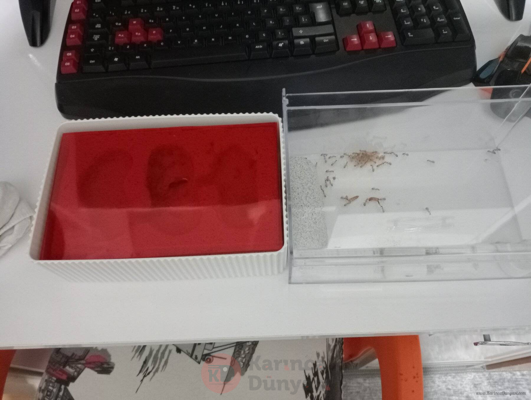 IMG20220917215334.jpg