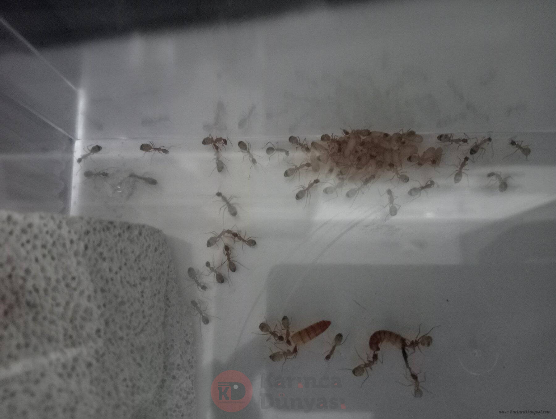 IMG20220917215341.jpg