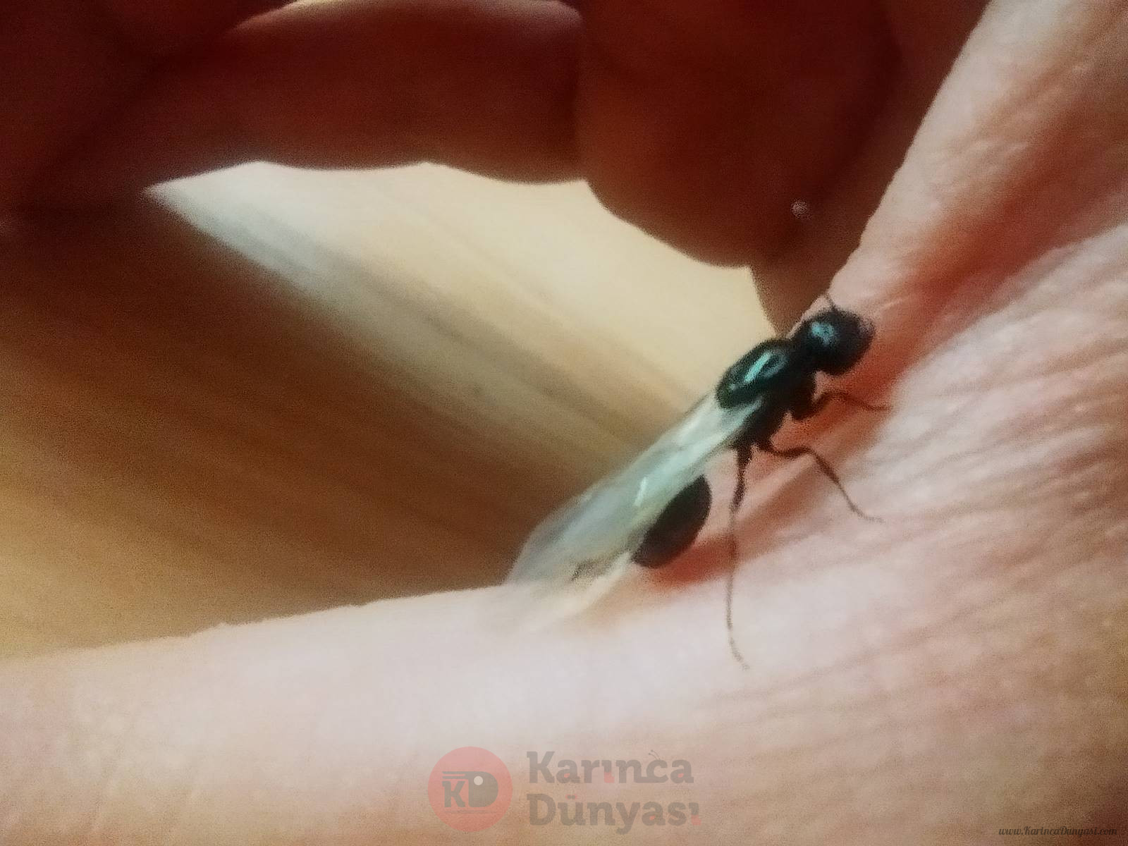IMG_20220412_104700.jpg