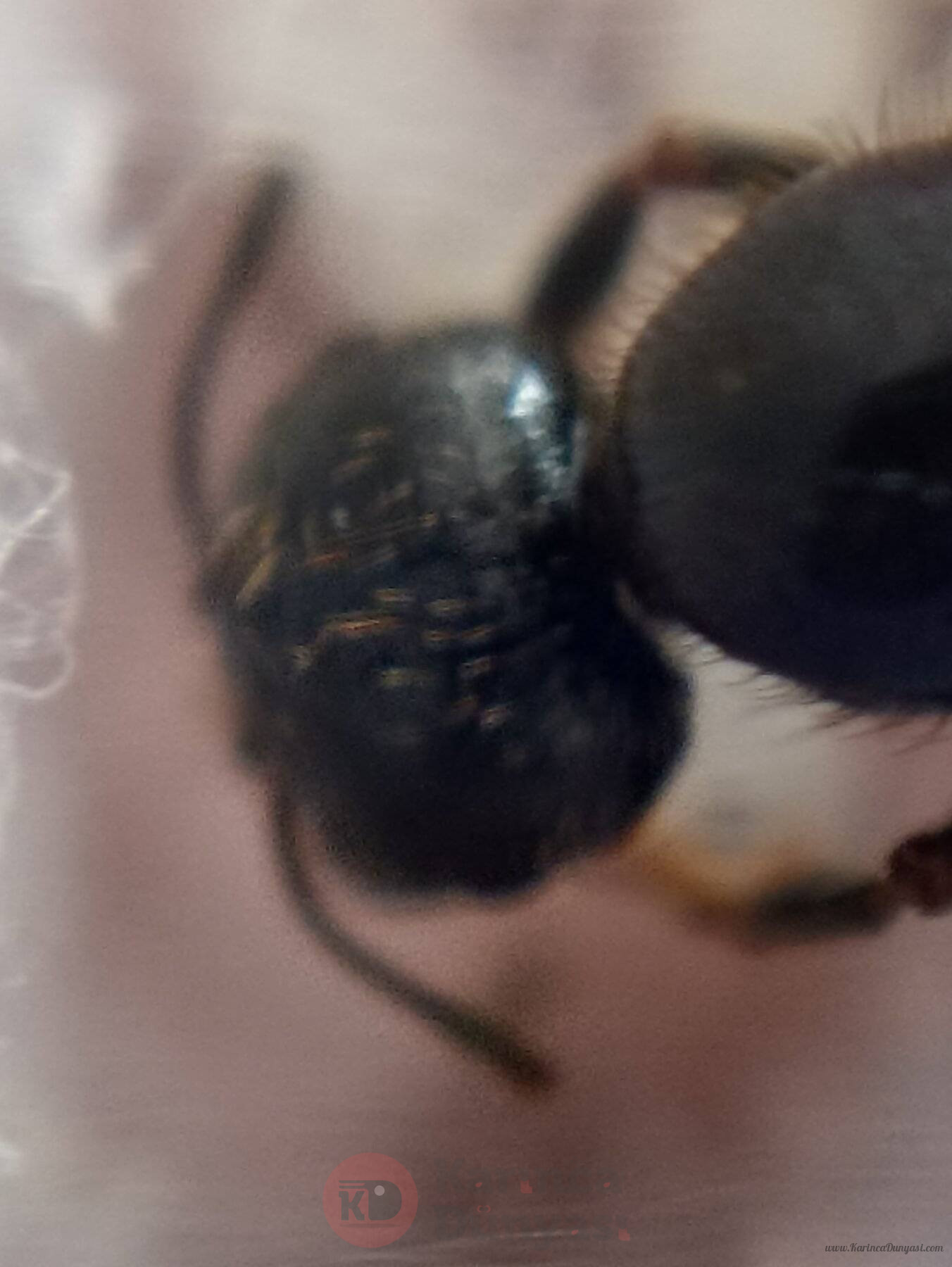 IMG_20230529_122626.jpg