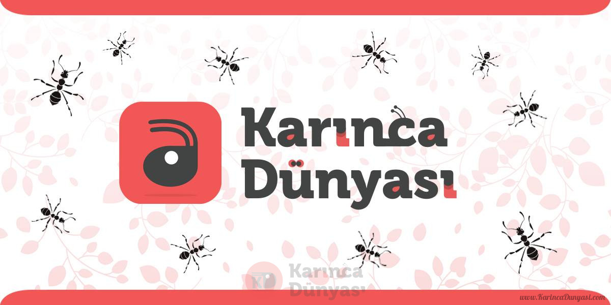 Karınca-Dünyası-sosyal-paylasim.jpg