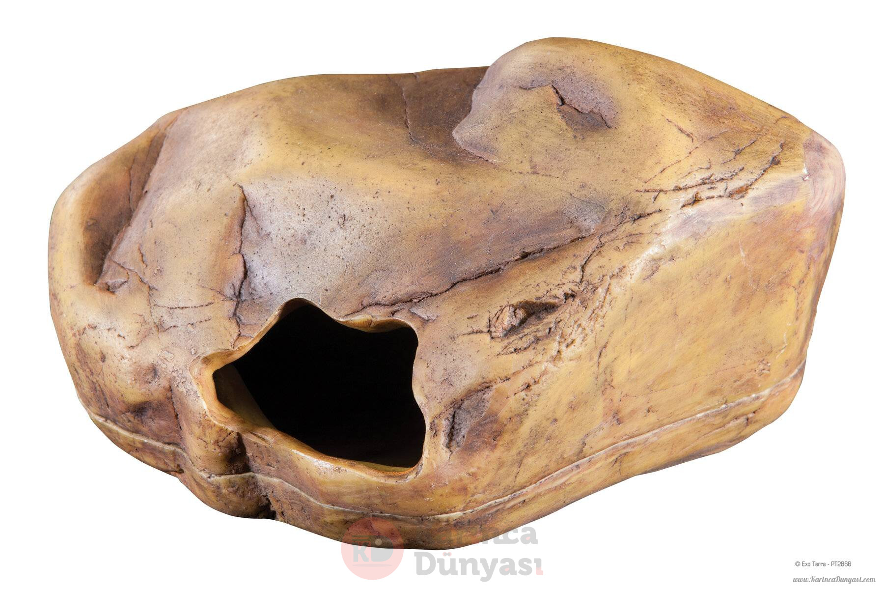 PT2866_Gecko_Cave.jpg