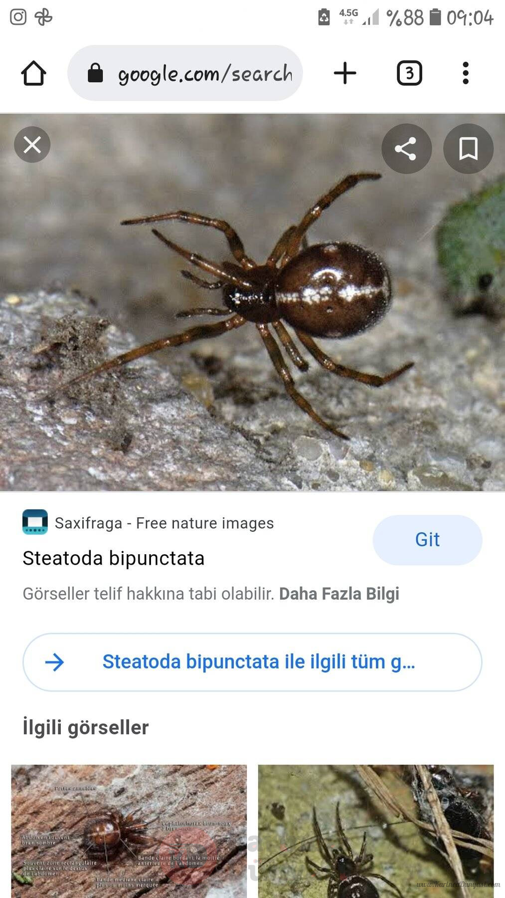 Screenshot_20220605-090427_Chrome.jpg