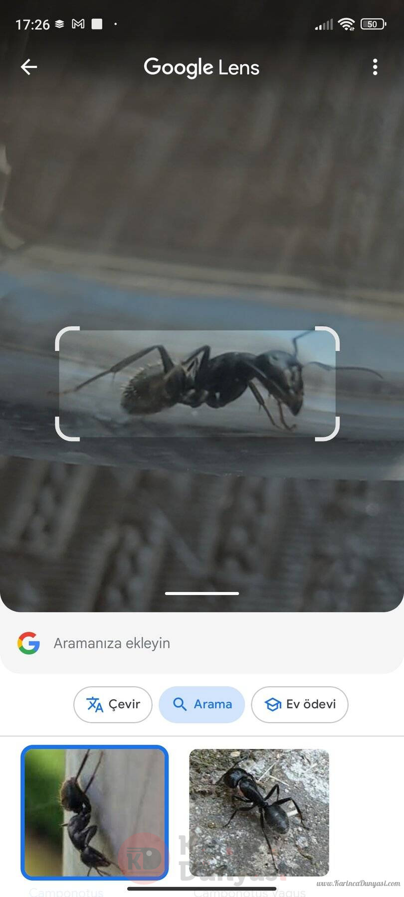 Screenshot_2024-07-02-17-26-37-652_com.google.android.googlequicksearchbox.jpg