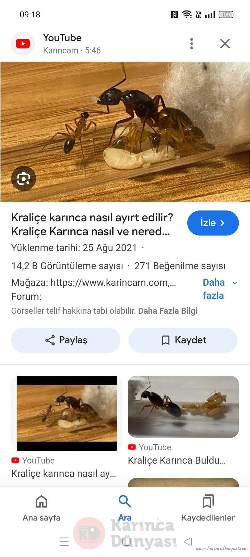 Screenshot_2024-07-28-09-18-42-22_680d03679600f7af0b4c700c6b270fe7.jpg