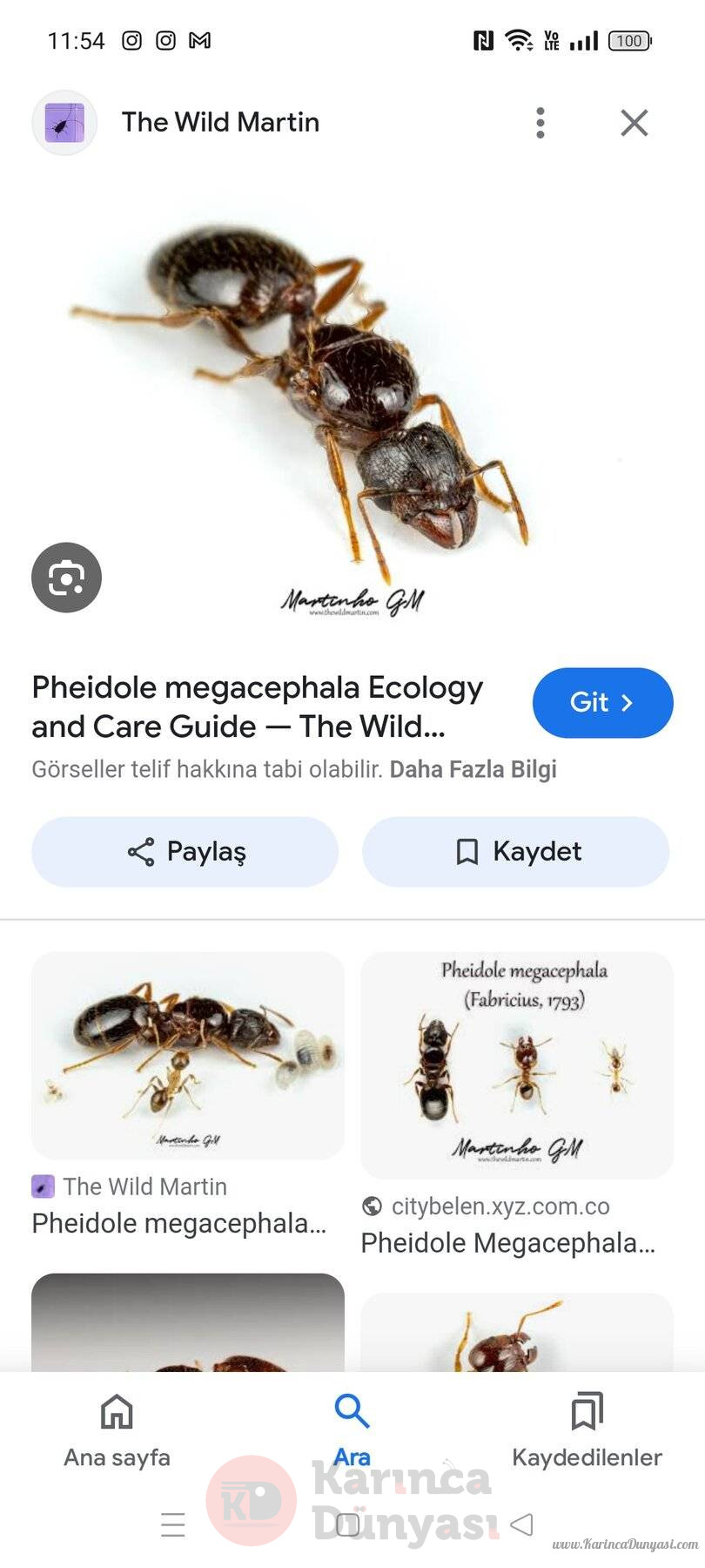 Screenshot_2024-08-01-11-54-10-22_680d03679600f7af0b4c700c6b270fe7.jpg