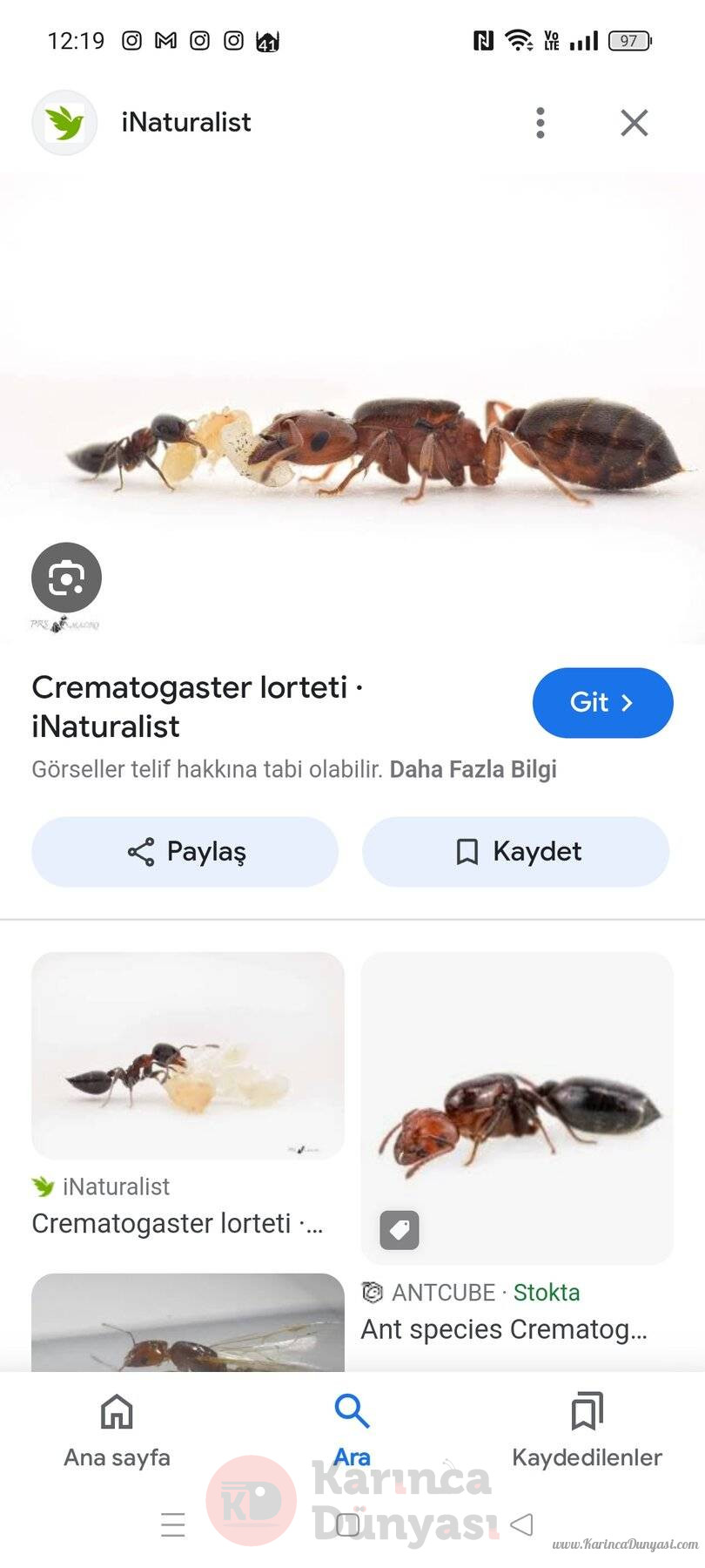 Screenshot_2024-08-02-12-19-32-04_680d03679600f7af0b4c700c6b270fe7.jpg