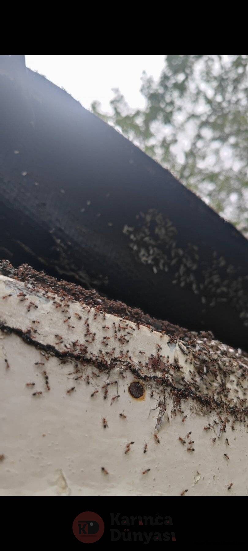 Screenshot_2024-09-30-22-22-25-903_com.miui.gallery.jpg