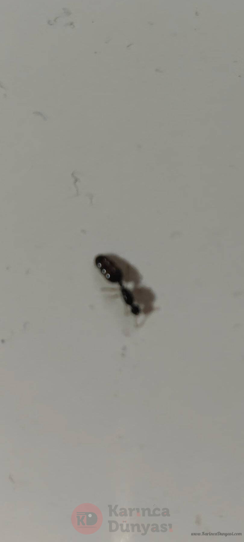Screenshot_2024-10-05-16-39-18-466_com.miui.gallery.jpg