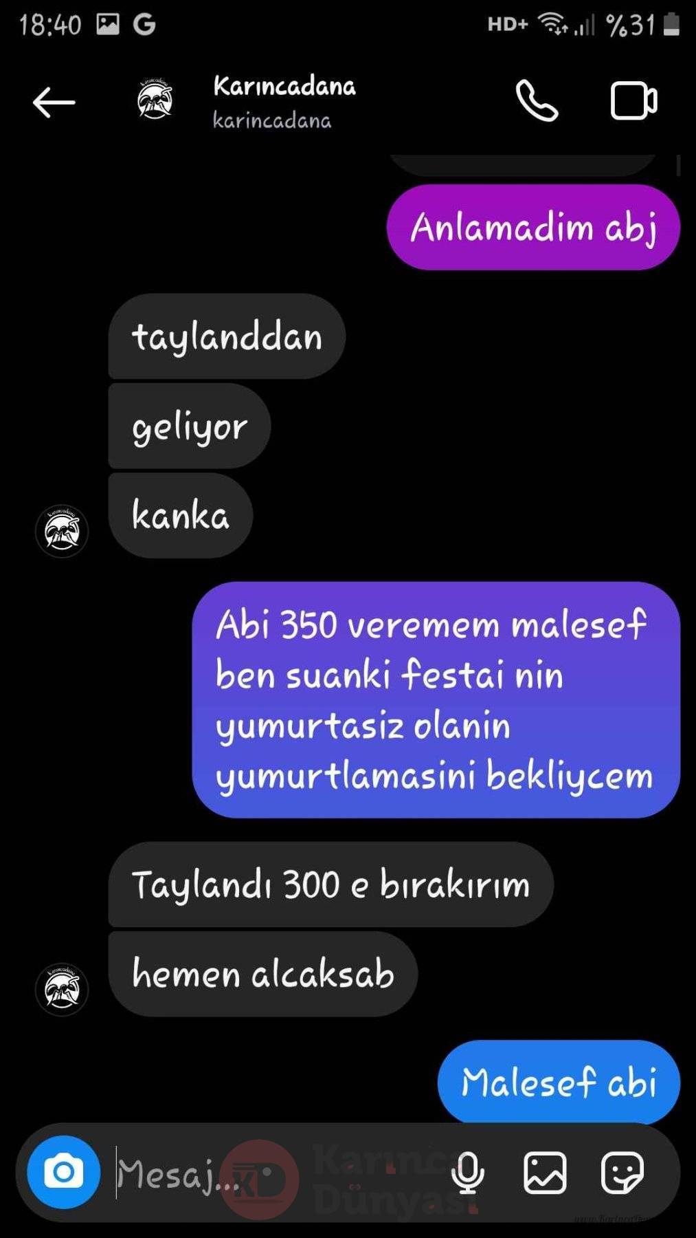 Screenshot_20240828-184032_Instagram.jpg