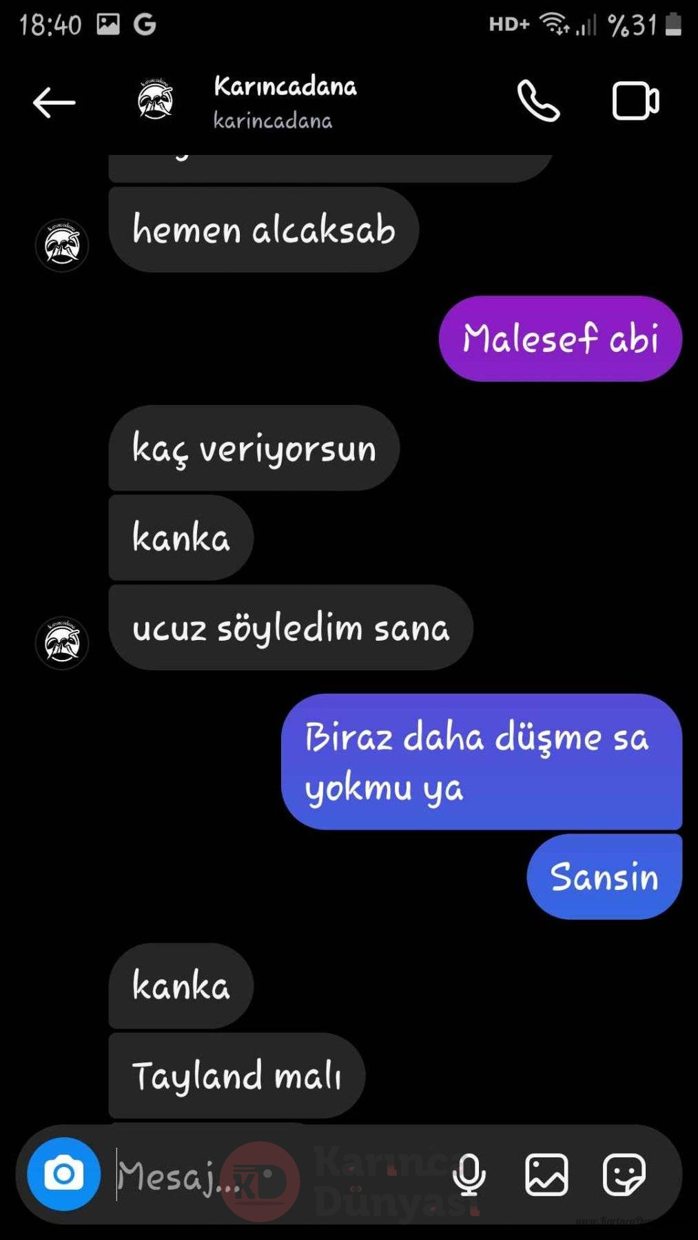 Screenshot_20240828-184040_Instagram.jpg