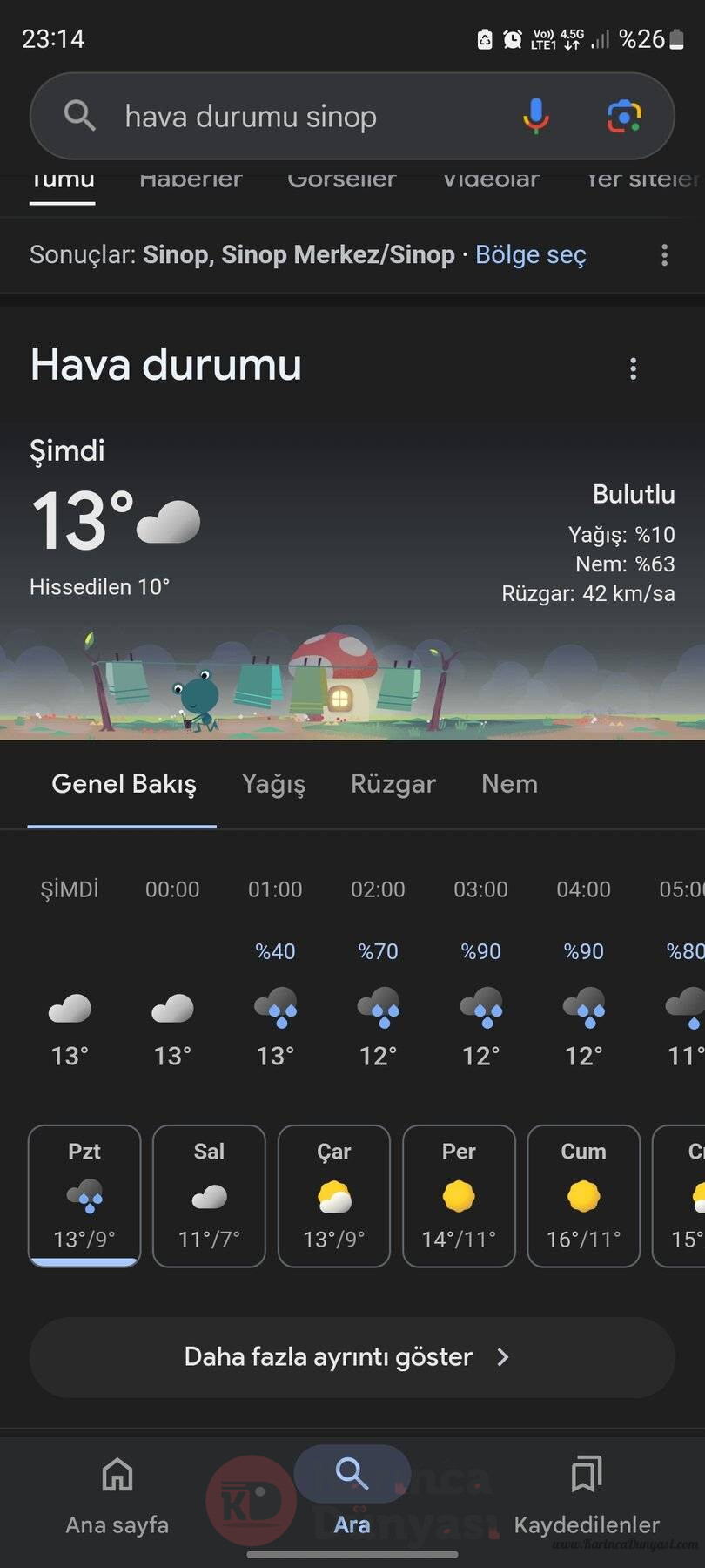 Screenshot_20241104_231453_Google.jpg